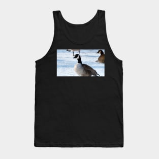 Canada Goose Standing On The Snow Tank Top